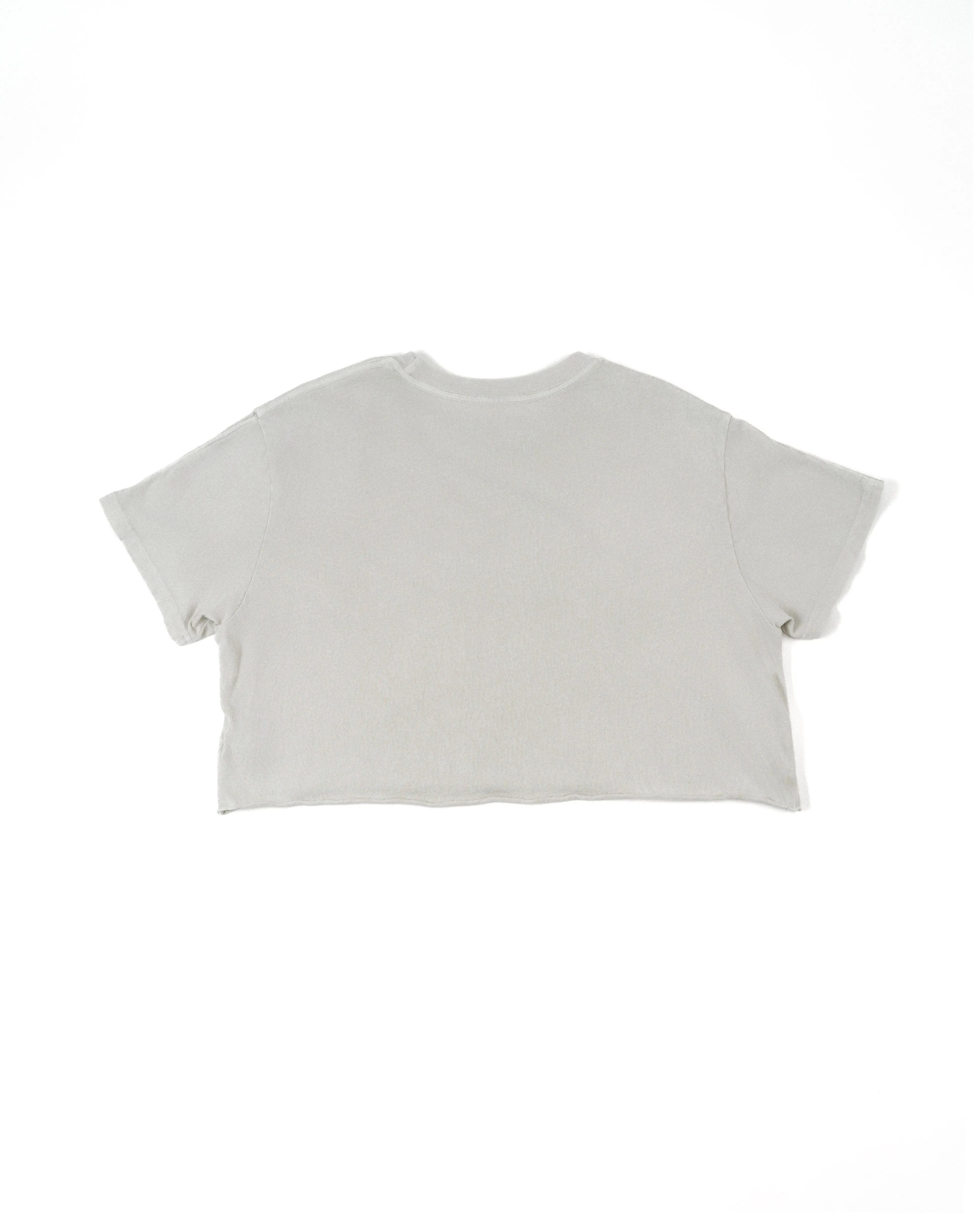 Beach Crop Tee