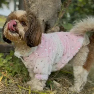 Pawgypets Fur Sweater for Dogs and Cats (Heart Pastel Rainbow)