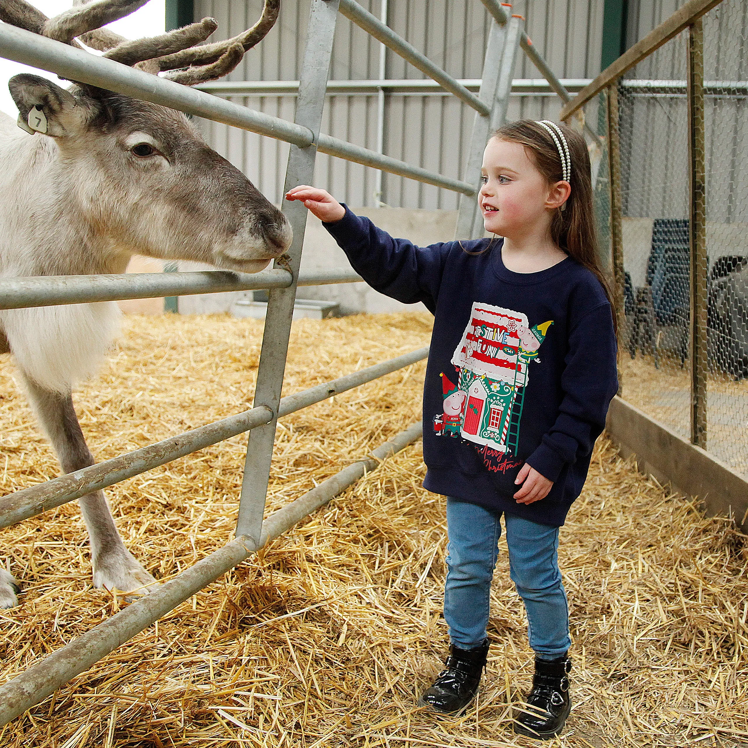 Peppa Pig Christmas Sweatshirt