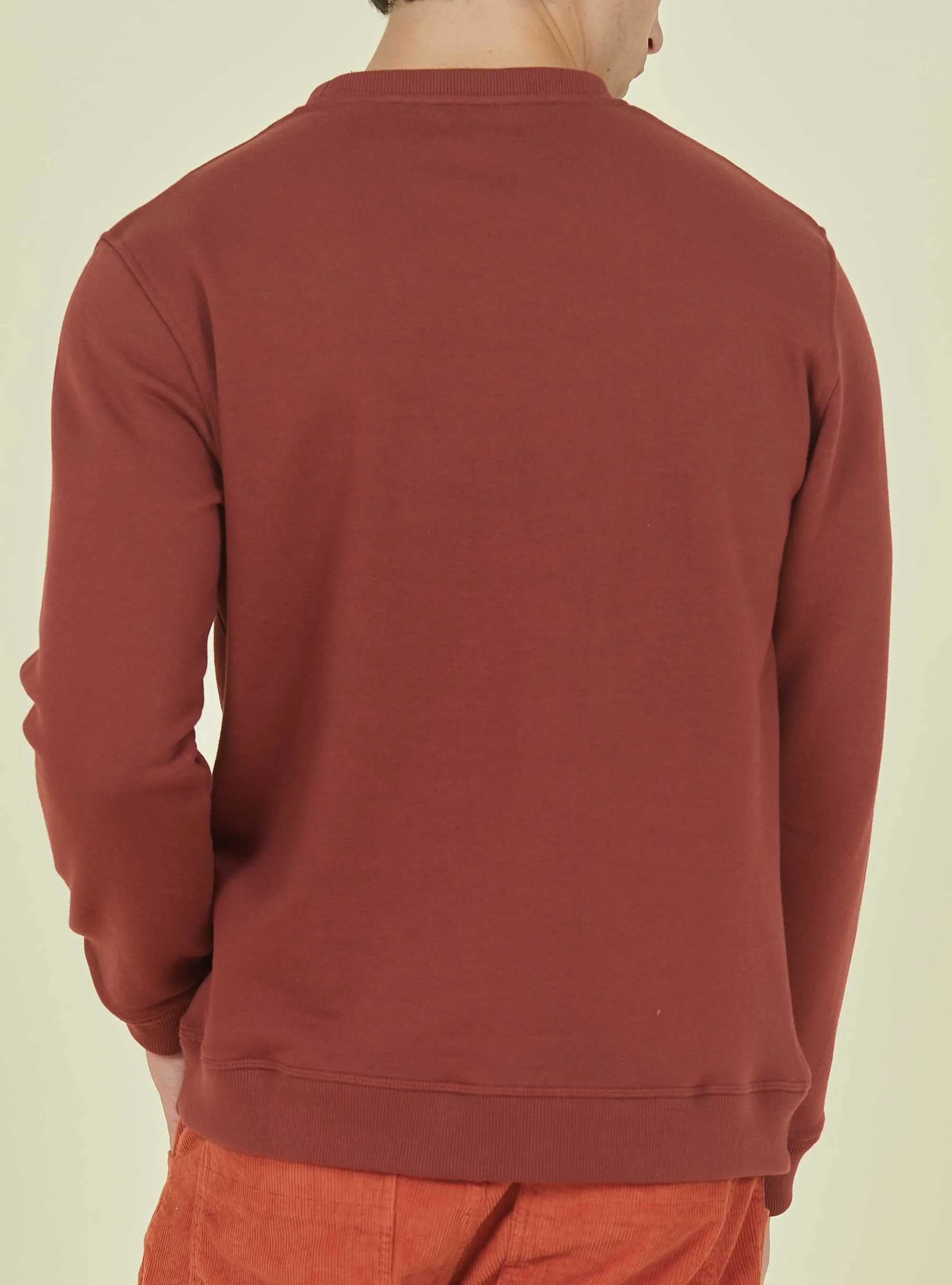 REGULAR SWEATSHIRT WITH COLOR BLOCK