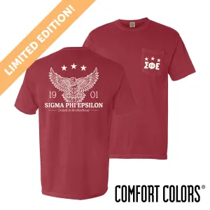 SigEp Comfort Colors Patriotic Eagle Short Sleeve Tee